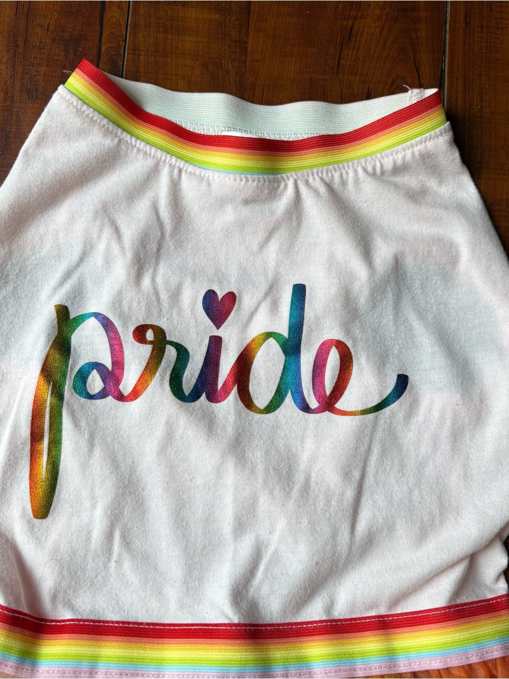 YOU ARE LOVED™ Pride Rainbow Tulle Dog Dress – Size M
